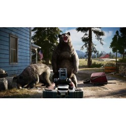 Far Cry 5 PS4 Secundaria