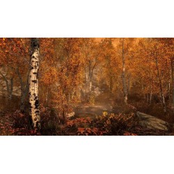 The Elder Scrolls V: Skyrim Special Edition PS4 Primaria