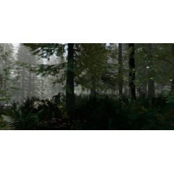 The Forest PS4 Primaria