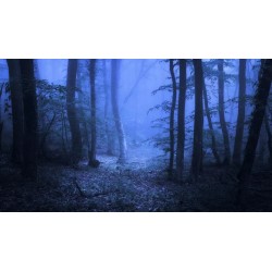 The Forest PS4 Secundaria