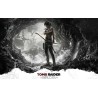 Tomb Raider PS3 Español