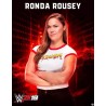 WWE 2K19 PS5 Secundaria