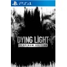 Dying Light Platinum Edition PS4 Secundaria