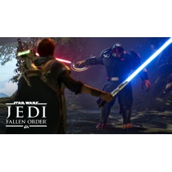 Star Wars Jedi Fallen Order PS4 Secundaria