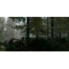 The Forest PS5 Primaria