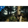 The Forest PS5 Primaria