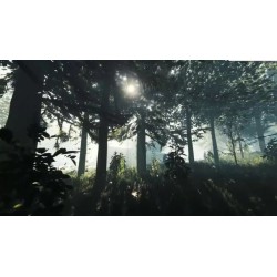 The Forest PS5 Primaria
