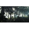 The Forest PS5 Primaria